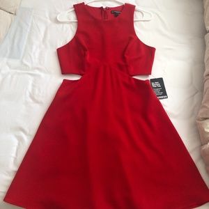 Express Red Flare Dress - Size 4